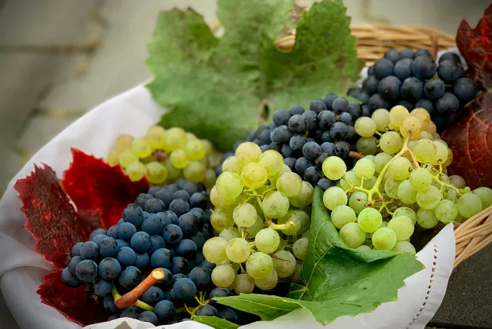 CORSI DI CUCINA SETTEMBRE